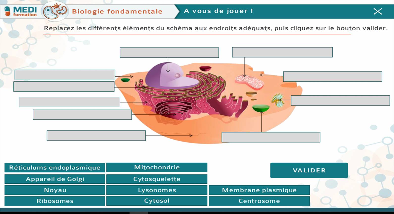 La plateforme