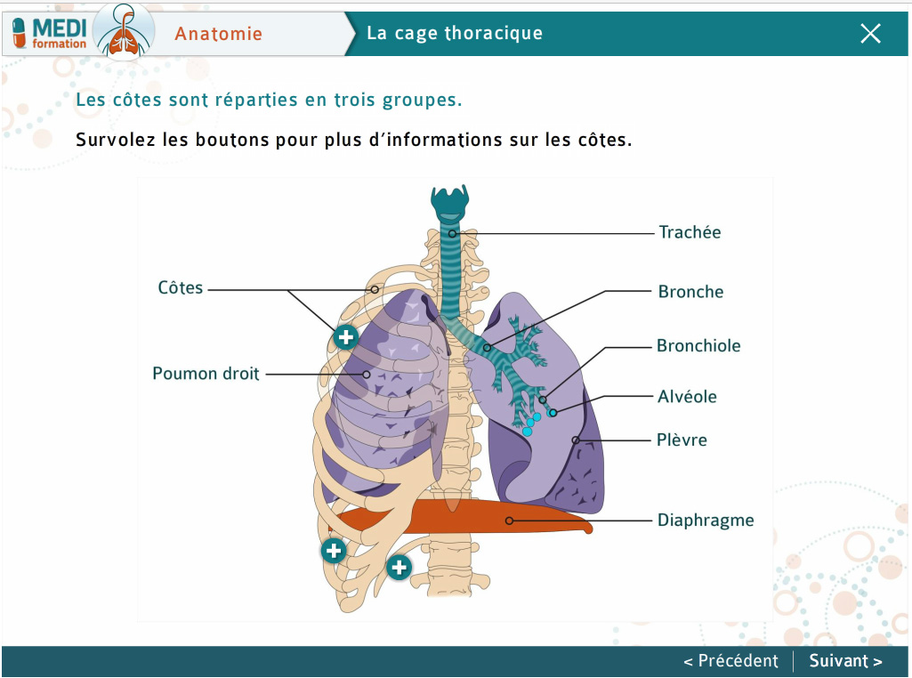 La plateforme