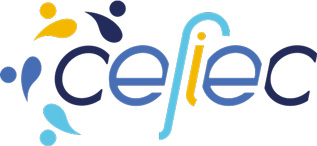 cefiec.fr